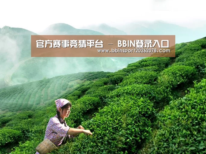 官方赛事竞猜平台 - BBIN登录入口