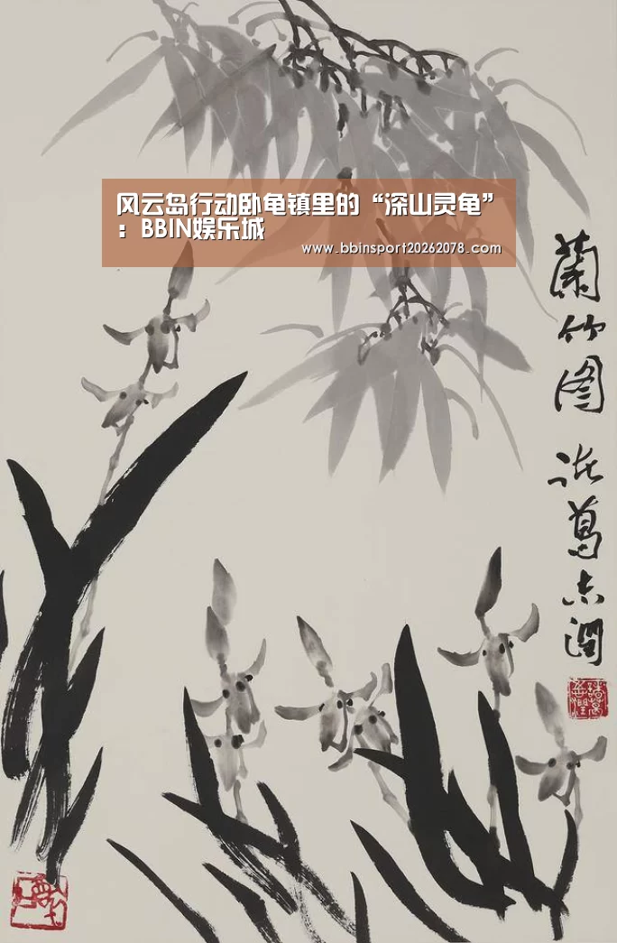 风云岛行动卧龟镇里的“深山灵龟”:BBIN娱乐城(图2) BBIN下载